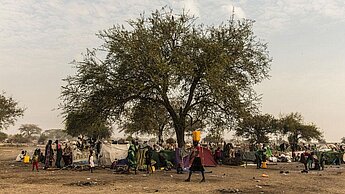 Die Flüchtlinge im Südsudan haben meist alles in ihrer Heimat zurückgelassen. Nun leben sie in einfachsten Verhältnissen. Schutz bieten Bäume.