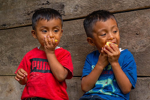 Zwei kleine Jungen essen Äpfel mit großem Elan