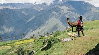 Berg-Landschaft in den Anden