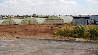 Mehrere Folientunnel auf dem Gelände von Hypo Farm, in denen Kräuter und Gemüse mithilfe der Hydrokultur angebaut werden