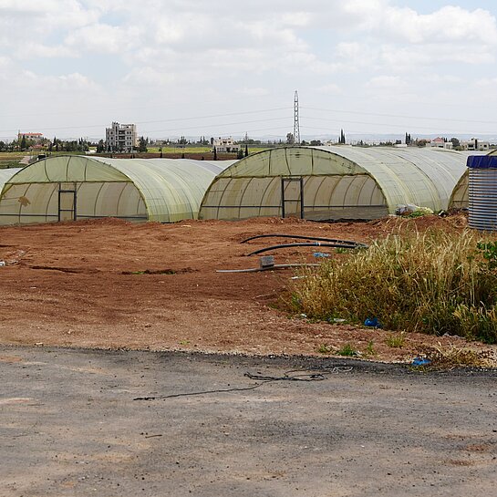 Mehrere Folientunnel auf dem Gelände von Hypo Farm, in denen Kräuter und Gemüse mithilfe der Hydrokultur angebaut werden