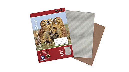 Ein rotes Heft, ein kariertes Blatt und ein Bogen Löschpapier schauen daraus hervor.