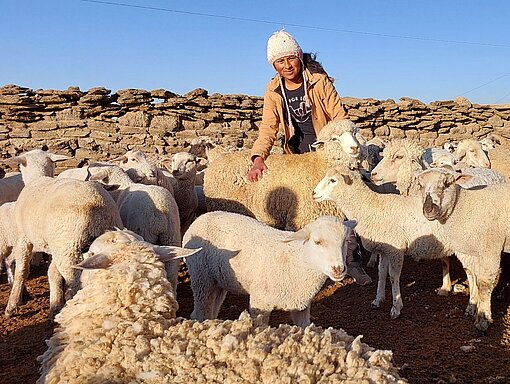 Eine junge Frau steht inmitten einer Schafherde.