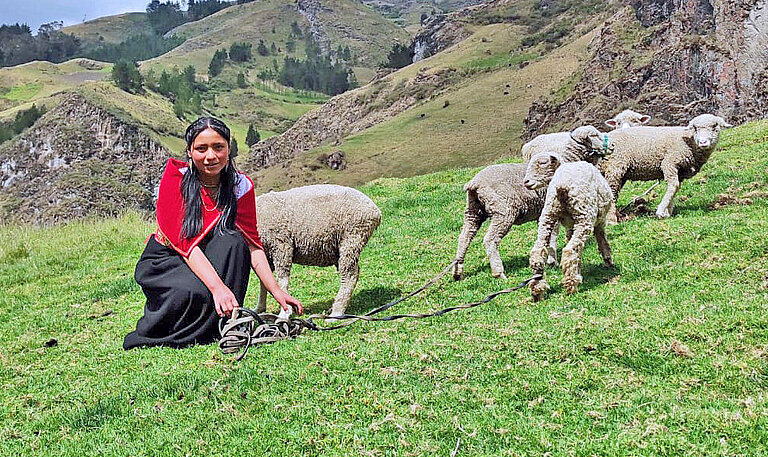 Ein Mädchen sitzt auf einer grünen Wiese und hütet Schafe