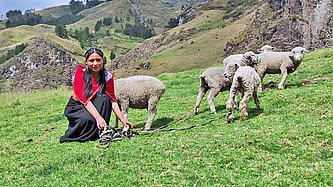Ein Mädchen sitzt auf einer grünen Wiese und hütet Schafe