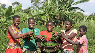 Fünf junge Frauen und Mädchen stehen lachend in einem grünen Feld und halten frisch geerntete grüne Chilischoten in den Händen.