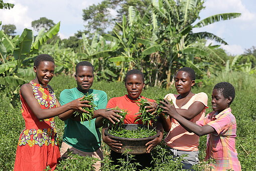 Fünf junge Frauen und Mädchen stehen lachend in einem grünen Feld und halten frisch geerntete grüne Chilischoten in den Händen.