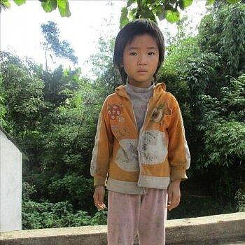 Sung Thi, Vietnam Sung Thi
