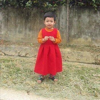 Ha Linh, Vietnam Ha Linh