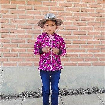 Nicol, Bolivien Nicol