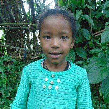 Hanna Yihune
