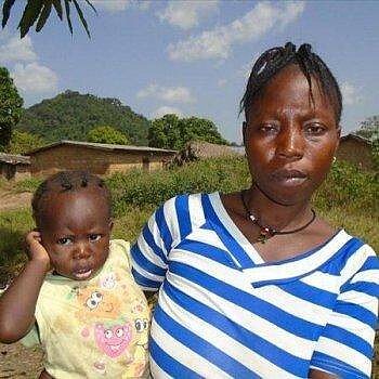 Delphine, Guinea Delphine