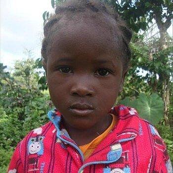 Finda-Ami, Guinea Finda-Ami