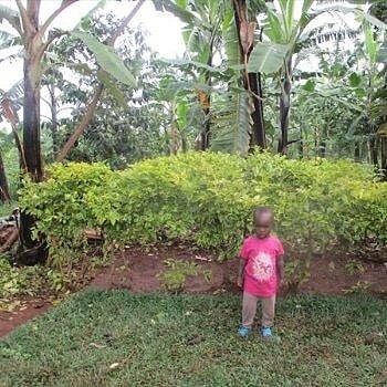 Faith Iriza, Ruanda Faith Iriza