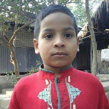 Mithun, Bangladesch Mithun