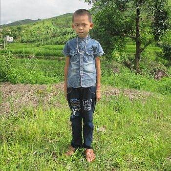 Phan Manh, Vietnam Phan Manh