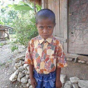 Yorki, Indonesien Yorki