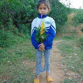Y, Vietnam Y
