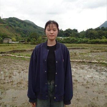 Luu